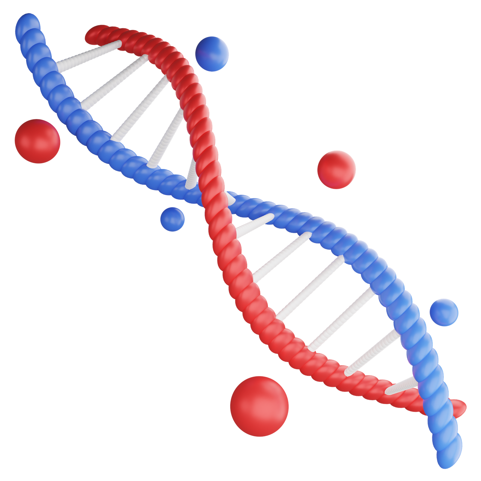 DNA Spiral